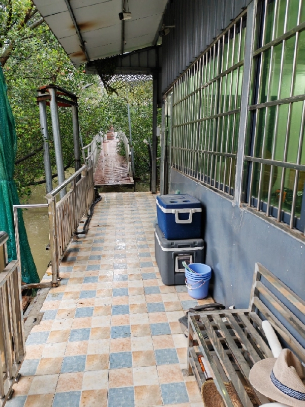 A4245 出售水泥囤船一艘，12米长9米宽，豪华装修，带会客厅，房间，洗手间，装修花了十几万，现在8万大平卖！广州看船。 (5)