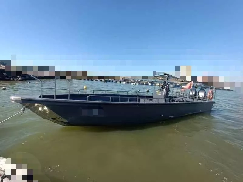 A3446 出售10.8米玻璃钢双机325钓鱼艇，宽2.52米2022年建造，珠海俊捷厂，机器100小时内，铃木325双机，共650马力，ccs第四类游艇证书，全国落户，价格明盘53万。