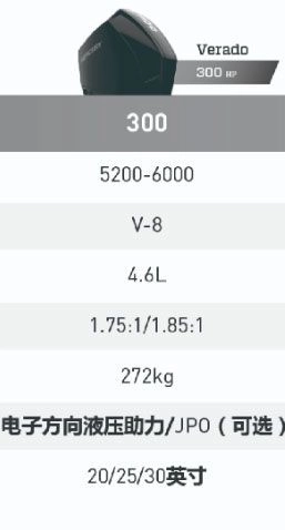N31 出售 全新 水星威鲨V8系列 300HP (2)